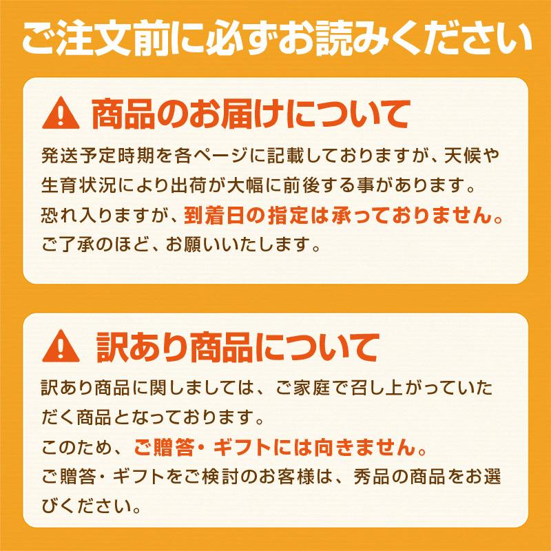 みかん 熊本県産 清美オレンジ 1.5kg 3L-L 約8-16玉 母の日 父の日 秀品 贈答 ギフト プレゼント 贈り物 オレンジ 濃厚 ジューシー 常温便｜kumafuru｜08