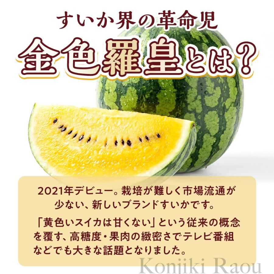 金色羅皇すいか 6kg以上 父の日 熊本 長崎 大玉 1玉 秀品 贈答 高級