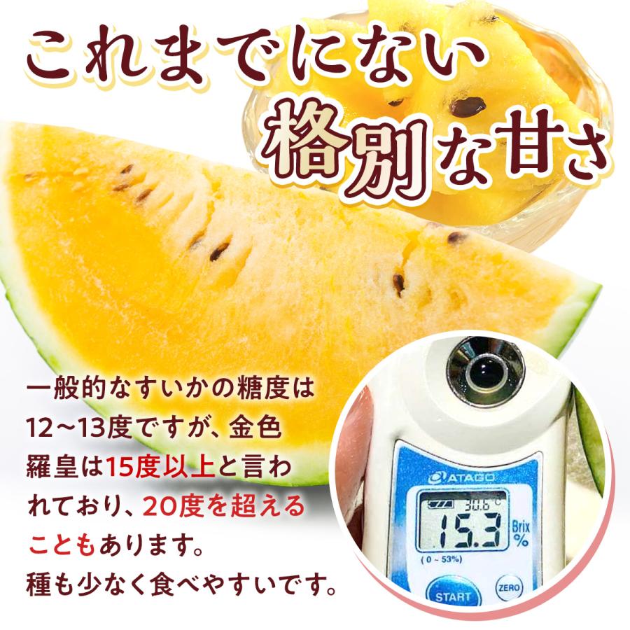 金色羅皇すいか 6kg以上 父の日 熊本 長崎 大玉 1玉 秀品 贈答 高級