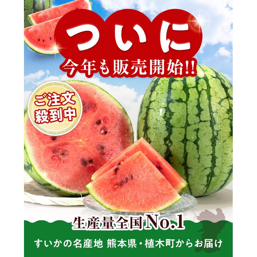 すいか 熊本県産 1.5kg以上 小玉 1玉 2玉 父の日 お中元 秀品 春すいか