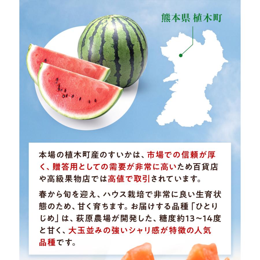 すいか 熊本県産 父の日 1.5kg以上 小玉 1玉 2玉 秀品 ひとりじめ