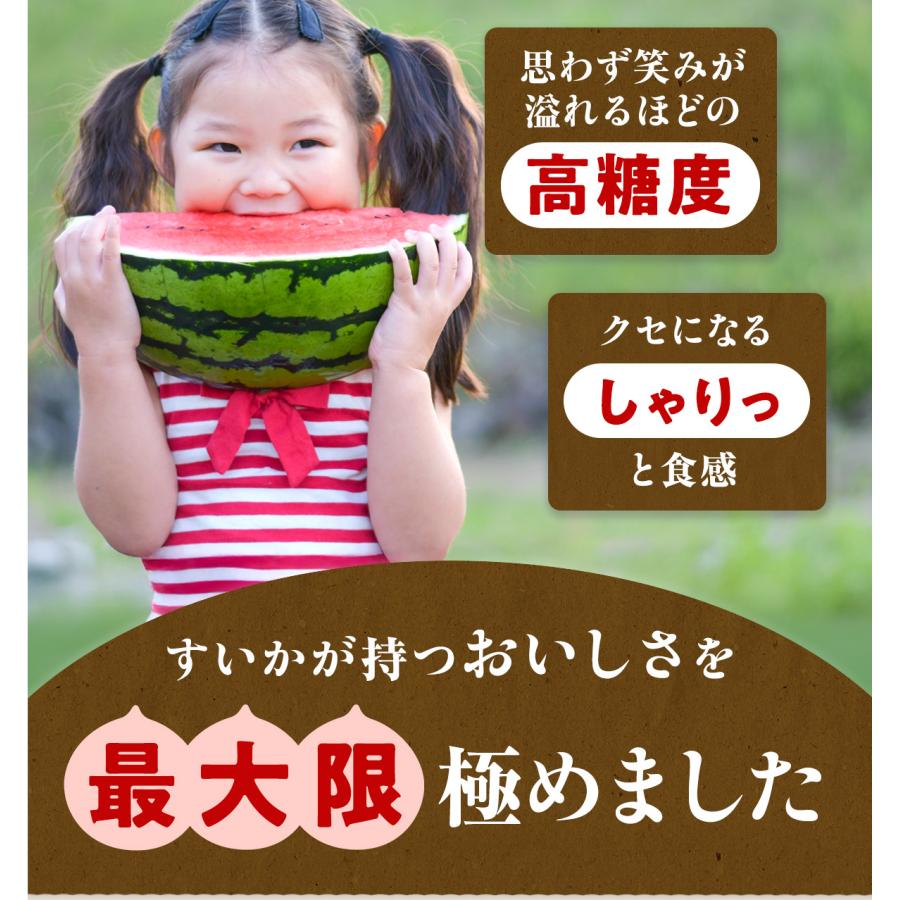 すいか 熊本県産 1.5kg以上 小玉 1玉 2玉 父の日 お中元 秀品 春すいか