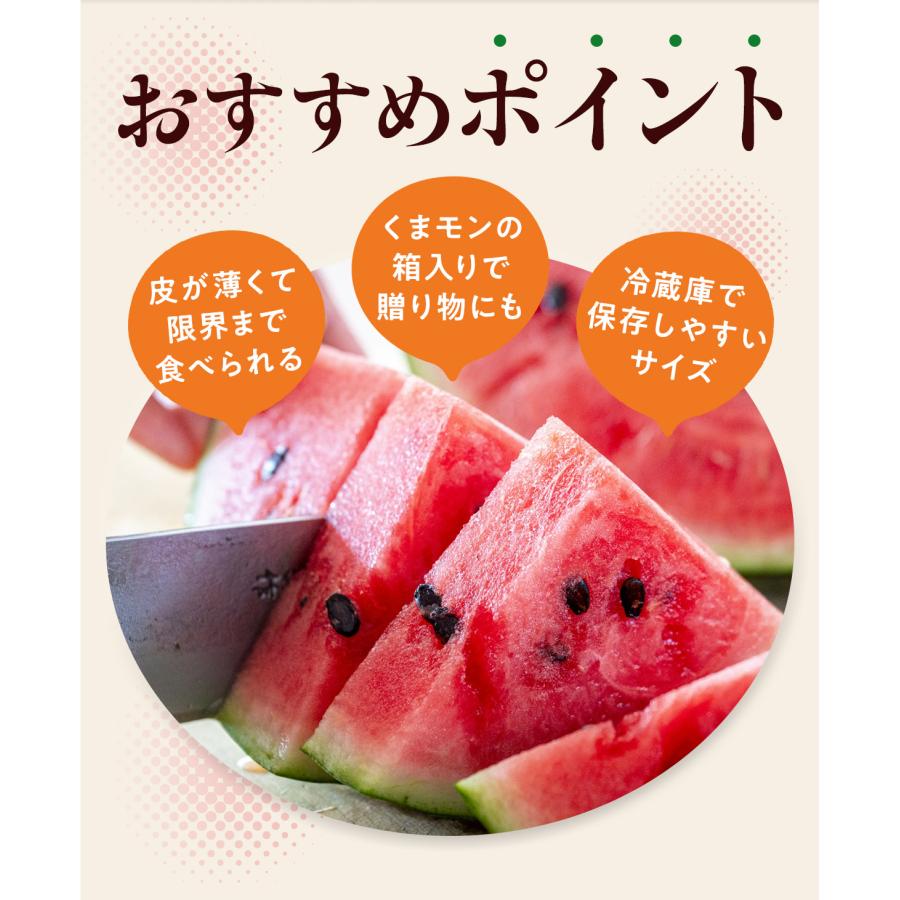すいか 熊本県産 父の日 1.5kg以上 小玉 1玉 2玉 秀品 ひとりじめ