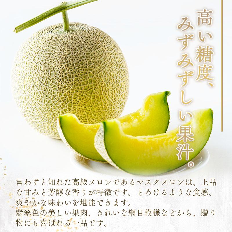 メロン マスクメロン お中元 熊本産 1玉 1.2kg以上 2L 秀品 