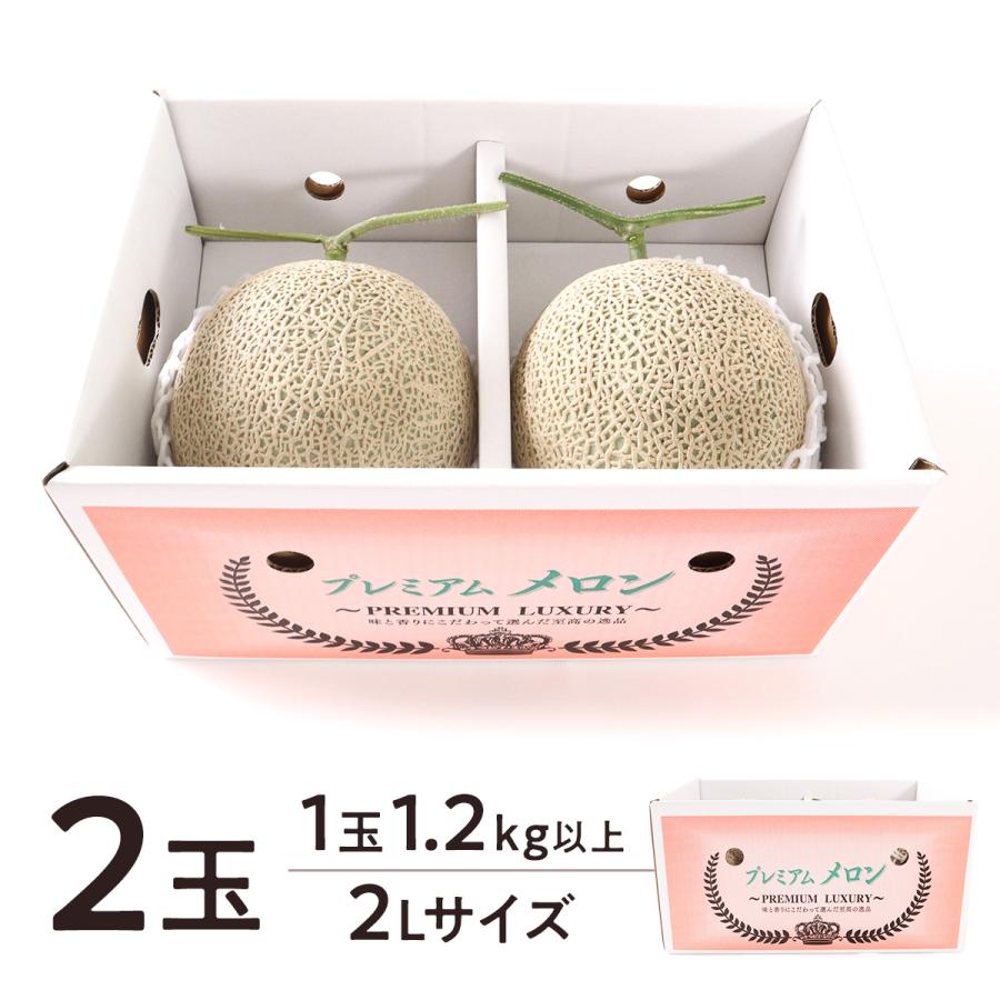 メロン マスクメロン お中元 熊本産 1玉 1.2kg以上 2L 秀品