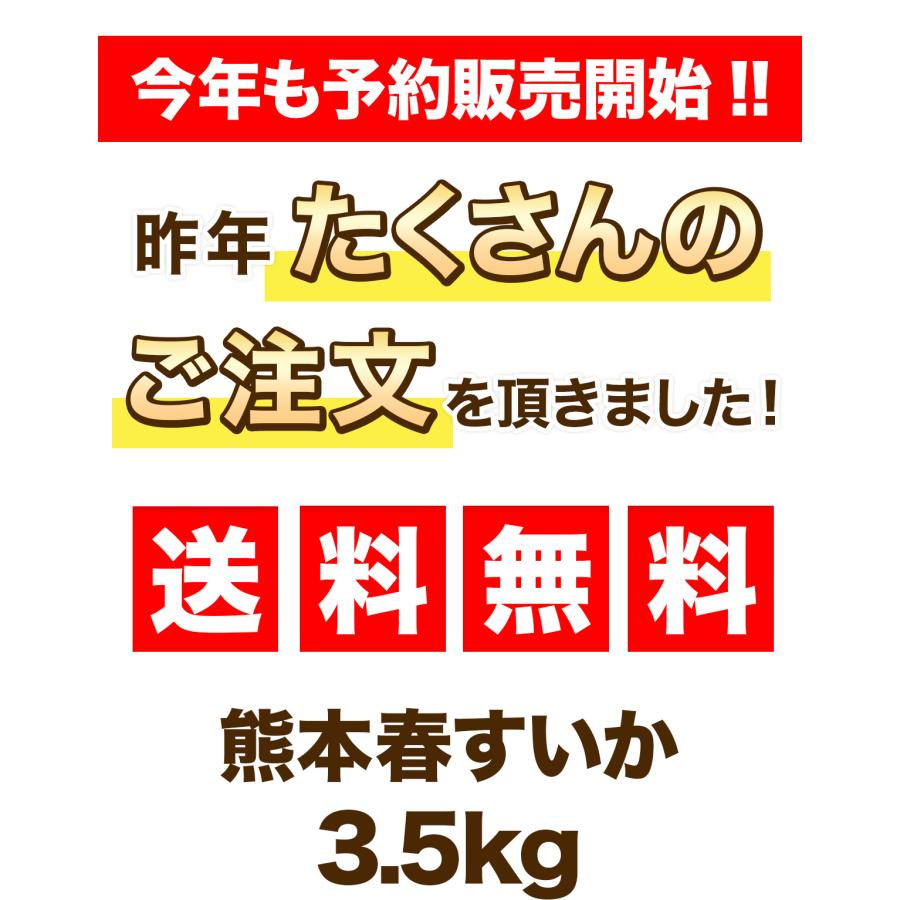 ランキング1位 すいか 熊本県産 春スイカ 3.5kg-5kg以上 訳あり 家庭用 常温便｜kumafuru｜04