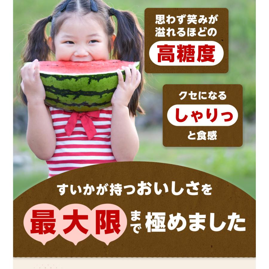 すいか 熊本県産 訳あり 5kg以上 大玉 1玉 植木町産 家庭用 常温便