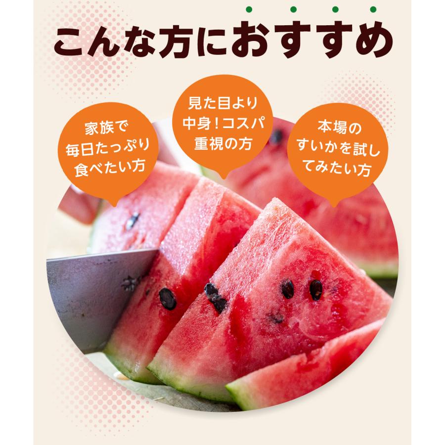 すいか 熊本県産 訳あり 5kg以上 大玉 1玉 植木町産 家庭用 常温便