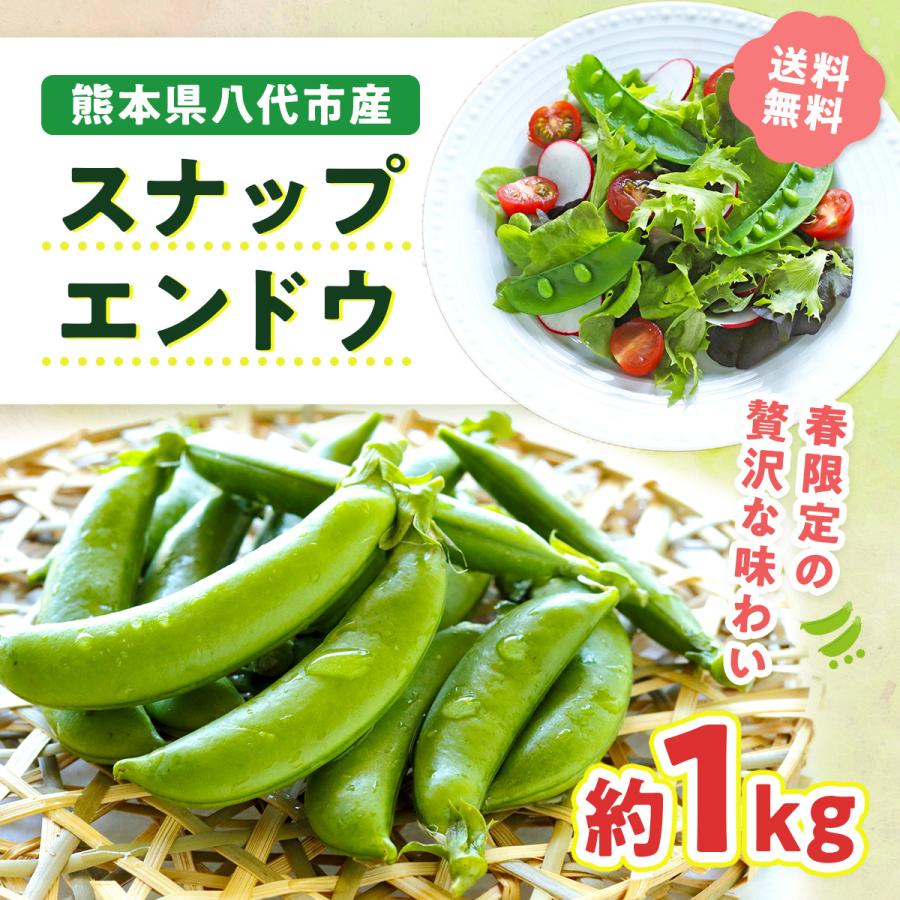 スナップエンドウ 1kg 熊本県産 八代市産 えんどう豆 野菜 美味しい 期間限定 数量限定 産地直送 新鮮 冷蔵便 | 