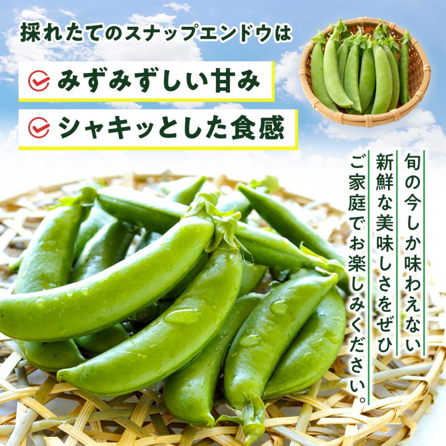 スナップエンドウ 1kg 熊本県産 八代市産 えんどう豆 野菜 美味しい 期間限定 数量限定 産地直送 新鮮 冷蔵便 |  | 02