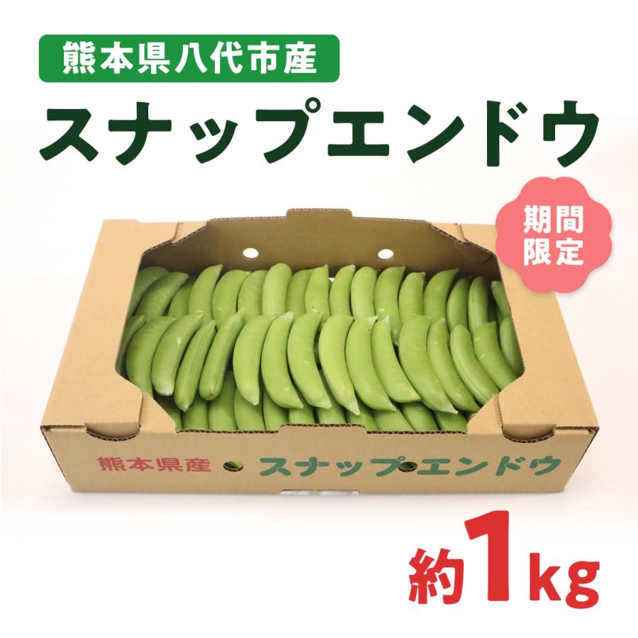 スナップエンドウ 1kg 熊本県産 八代市産 えんどう豆 野菜 美味しい 期間限定 数量限定 産地直送 新鮮 冷蔵便 |  | 04