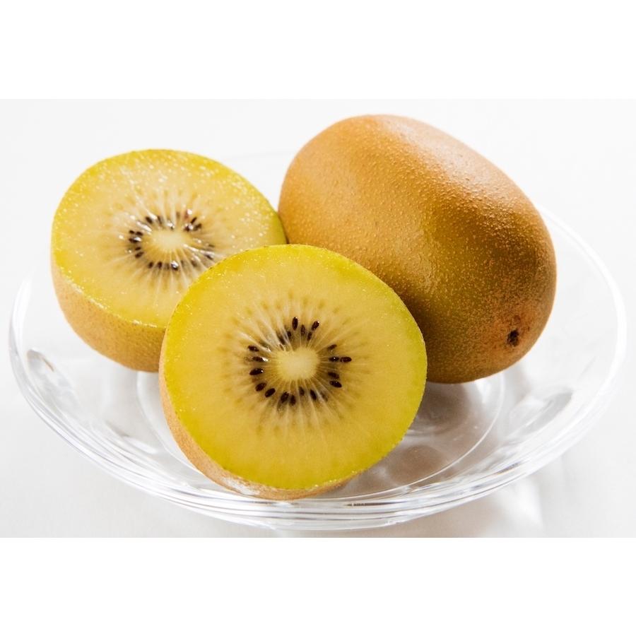 ゼスプリ サンゴールドキウイ 2kg 約玉前後 クール便 送料無料 キウイ 果物 フルーツ Sungoldkiwi 2kg 肥後 中村屋 通販 Yahoo ショッピング