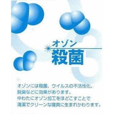 敷布団セット シングルロング 日本製 清潔 羊毛 固綿 敷き布団 2枚組 敷布団セット｜kumaimen｜06