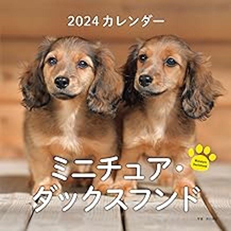 2024年カレンダー ミニチュア・ダックスフンド (誠文堂新光社カレンダー)｜kumakumastore｜05