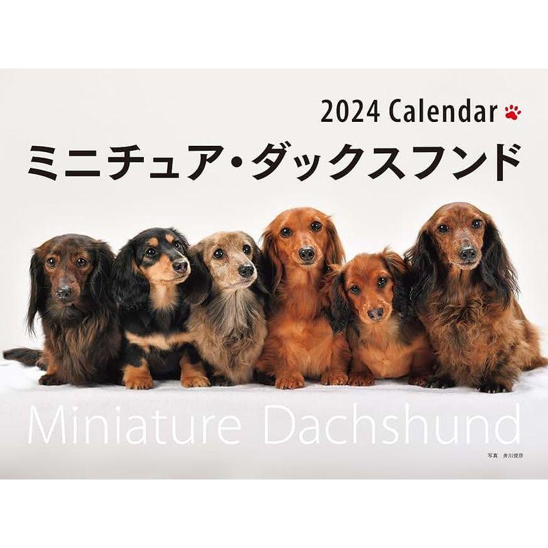 2024年カレンダー ワイド判 ミニチュア・ダックスフンド (誠文堂新光社カレンダー)｜kumakumastore｜04