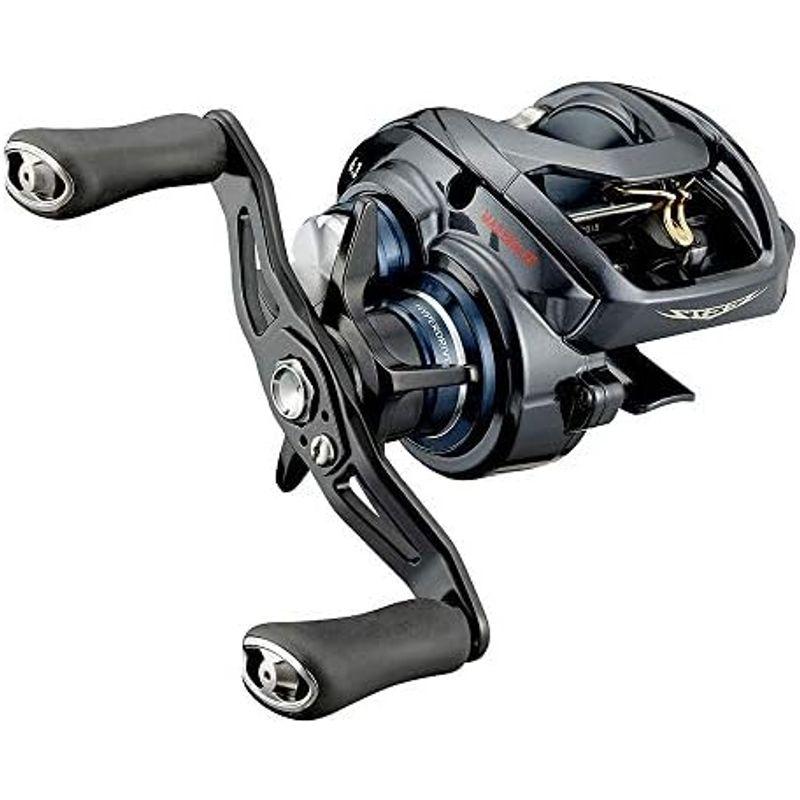 ダイワ(DAIWA) 21 スティーズ A TW HLC 7.1R｜kumakumastore｜09