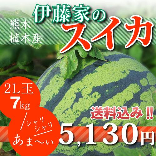 熊本県産 植木すいか Lサイズ 2玉セット♪♪ 楽天市場】送料無料 植木すいか Lサイズ（1玉入6kg）熊本県