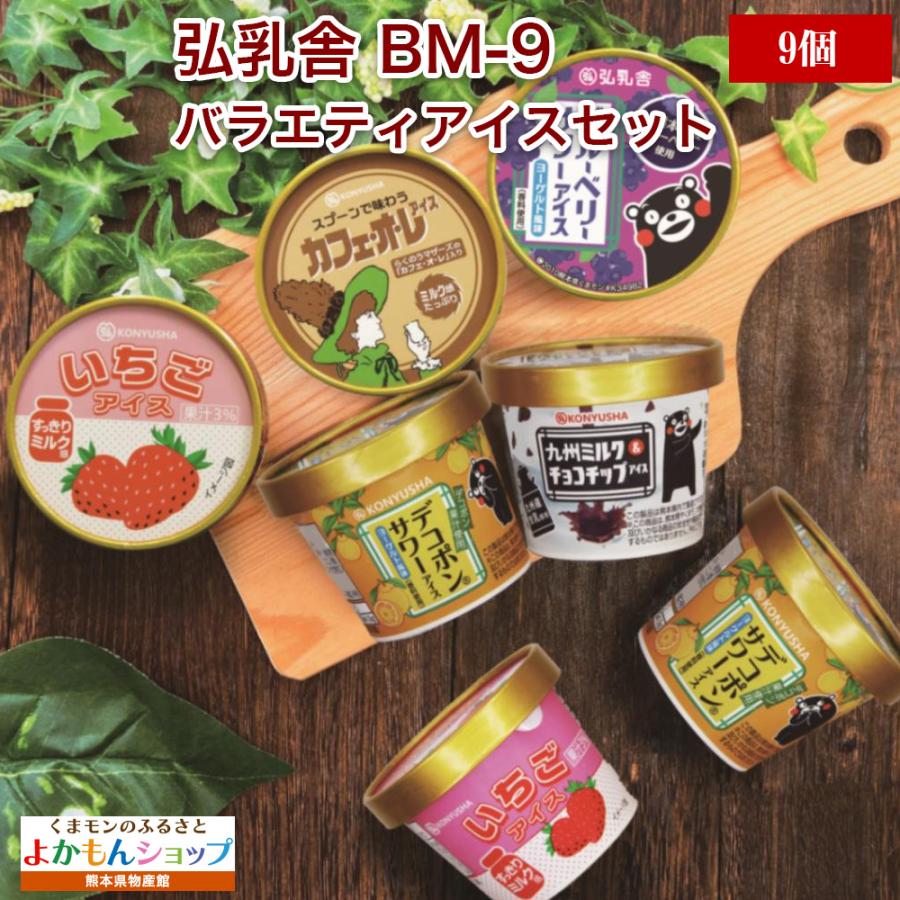 弘乳舎 BM-9 熊本 バラエティ アイス セット 9個 アイスクリーム