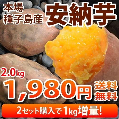 安納芋 送料無料 種子島産 生芋 2箱購入で1kg増量 あんのういも まるでスイーツ さつまいも :y-annou2019:熊本グルメ市場