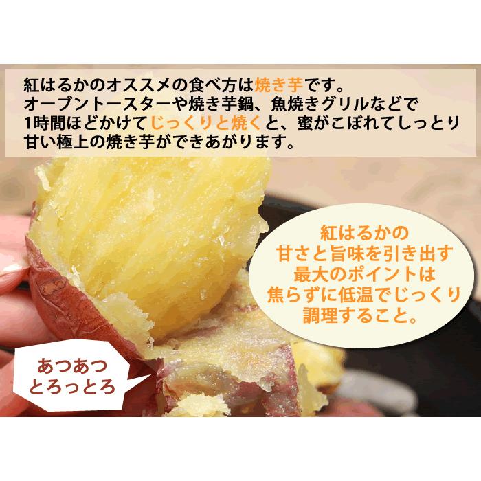 紅はるか 送料無料 2箱購入で1kg増量 生芋 安納芋 に匹敵する糖度 熊本県産 紅蜜芋 石焼き芋 まるでスイーツ Y Beniharuka 29 熊本グルメ市場 Yahoo 店 通販 Yahoo ショッピング