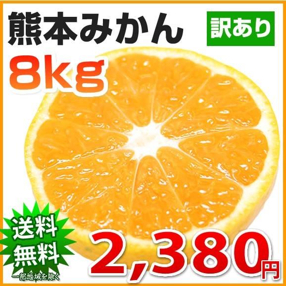 みかん 送料無料 訳あり 8kg 熊本  ポイント消化 ミカン 蜜柑 くまもと フルーツ | 
