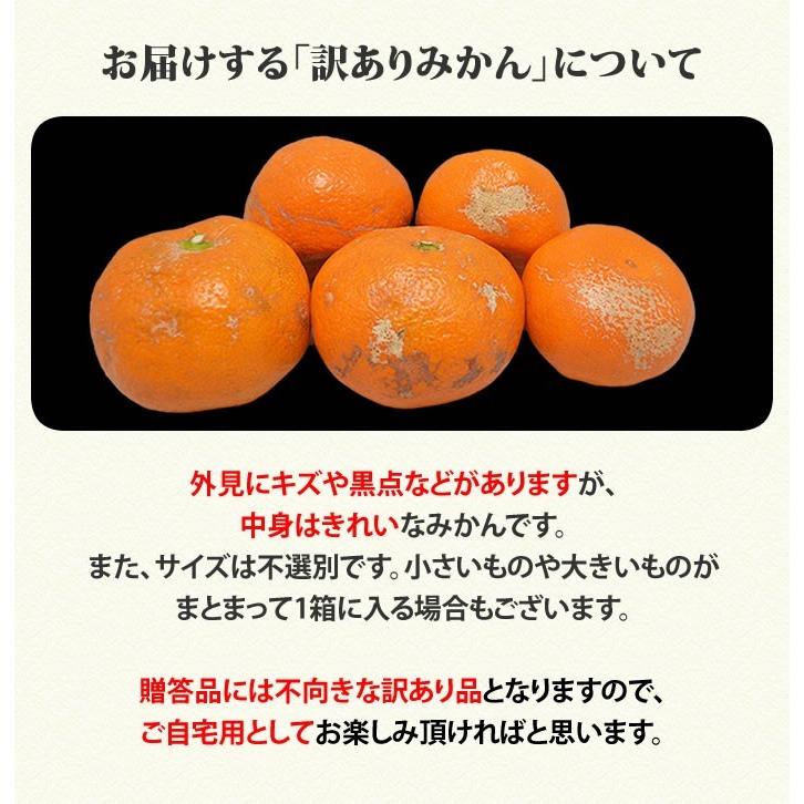 みかん 送料無料 訳あり 8kg 熊本  ポイント消化 ミカン 蜜柑 くまもと フルーツ |  | 02