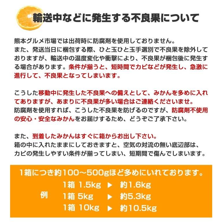 みかん 送料無料 訳あり 8kg 熊本  ポイント消化 ミカン 蜜柑 くまもと フルーツ |  | 06