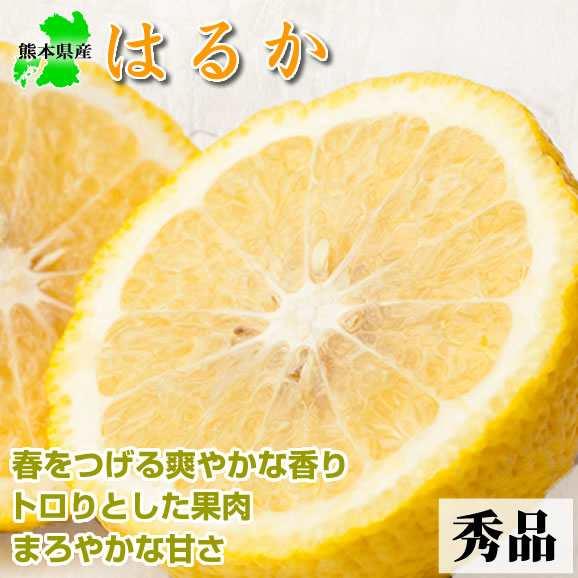 みかん はるか 送料無料 熊本県産 5kg ミカン 蜜柑 : 熊本グルメ市場