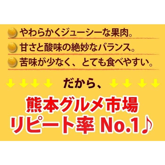 河内晩柑 訳あり 箱込 約10kg 内容量9kg + 補償分500g 送料無料 みかん ミカン 柑橘 ジューシー みかん 文旦 4月中旬〜下旬頃より順次出荷開始 |  | 05
