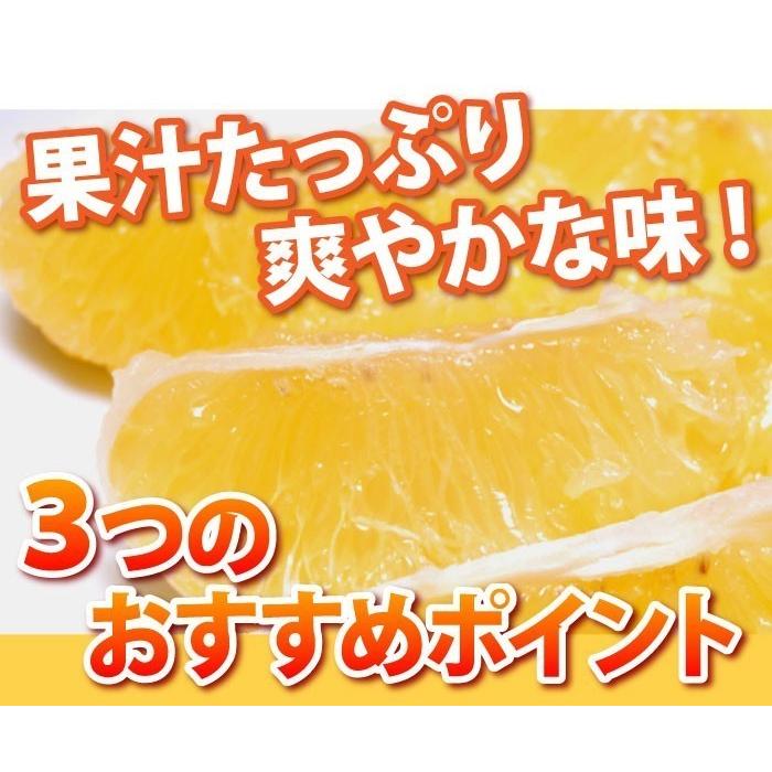 河内晩柑 訳あり 箱込 約10kg 内容量9kg + 補償分500g 送料無料 みかん ミカン 柑橘 ジューシー みかん 文旦 4月中旬〜下旬頃より順次出荷開始 |  | 06