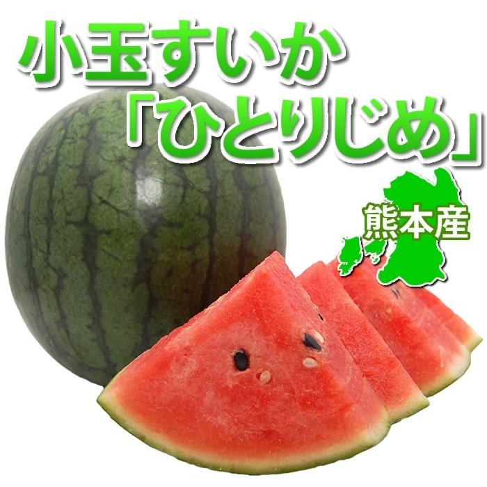 すいか 送料無料 熊本県産 小玉スイカ ひとりじめ お取り寄せ 1 すいか 送料無料 熊本県産 小玉スイカ ひとりじめ お取り寄せ 1