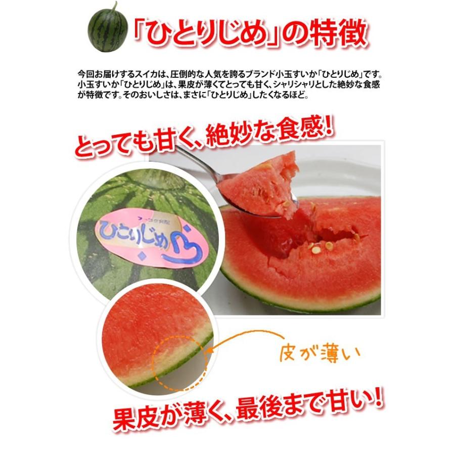 すいか 送料無料 熊本県産 小玉スイカ ひとりじめ お取り寄せ 1 すいか 送料無料 熊本県産 小玉スイカ ひとりじめ お取り寄せ 1