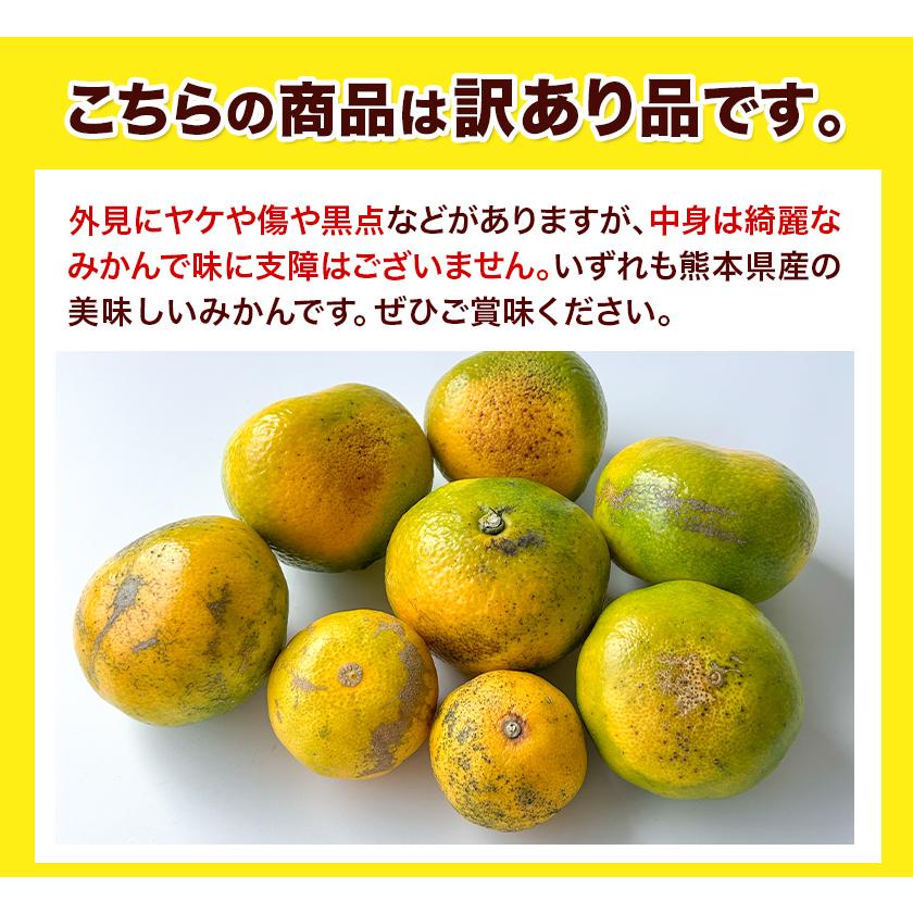 みかん 熊本 訳あり 送料無料 1.5kg 2セット購入で1セットおまけ みかん 熊本 訳あり 送料無料 1.5kg 2セット購入で1セットおまけ