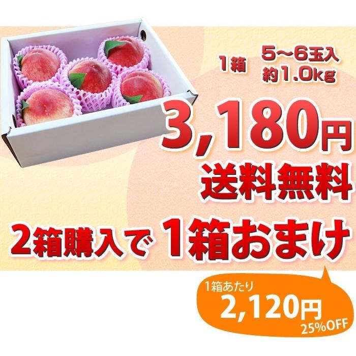 桃 送料無料 温室桃 はなよめ 熊本県産 秀品 約1kg 5 6玉入り 2箱購入で1箱おまけ付 Y Peach H01 熊本グルメ市場 Yahoo 店 通販 Yahoo ショッピング