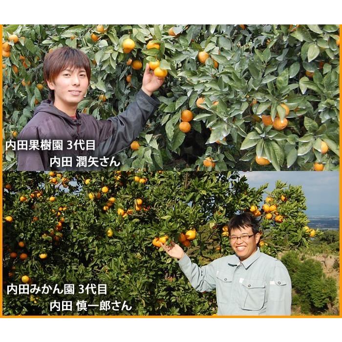 みかん 送料無料 秀品 8kg 絶品の熊本みかん ギフト 贈り物 熊本県産 2