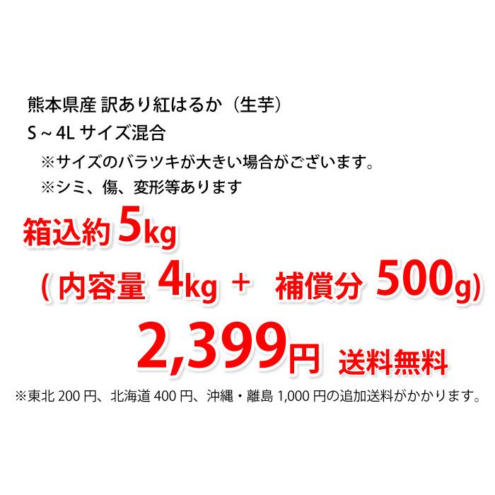 完売】 紅はるか 訳あり 箱込5kg 内容量4kg 補償分500g 送料無料 生芋 さつまいも 熊本県産 べにはるか サツマイモ 焼き芋に 芋 いも wantannas.go.id 完売】 紅はるか 訳あり 箱込5kg 内容量4kg 補償分500g 送料無料 生芋 さつまいも 熊本県産 べにはるか サツマイモ 焼き芋に 芋 いも wantannas.go.id