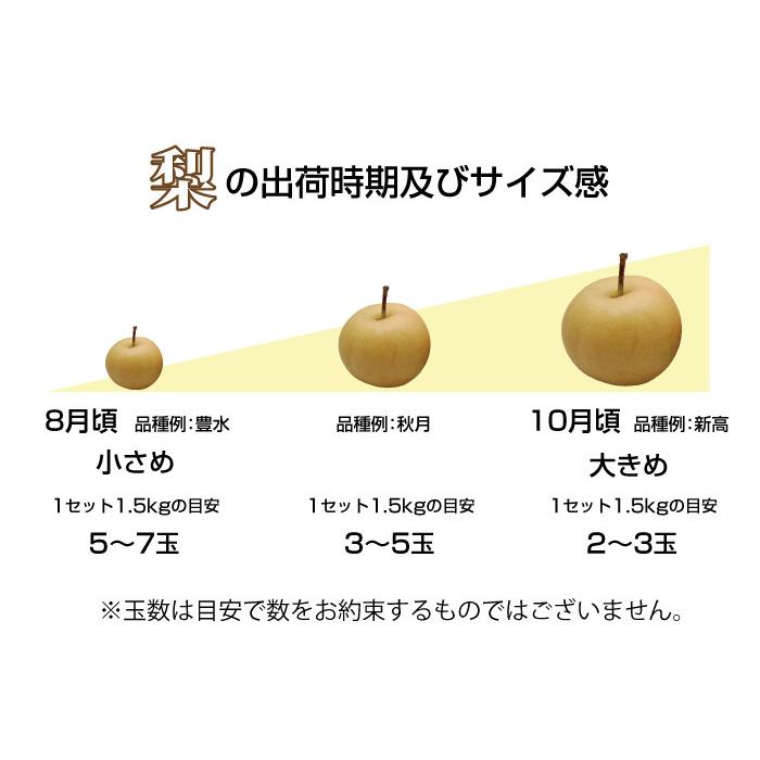 梨 訳あり九州産 約1.5kg 2セット購入で1セットおまけ 送料無料 サイズ 