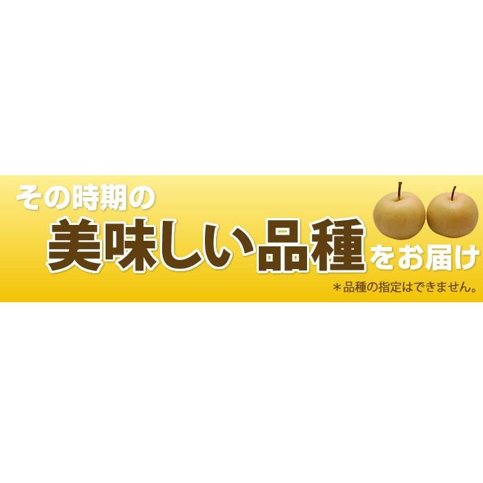 梨 送料無料 訳あり熊本県産  約1.5kg 2セット購入で1セットおまけ サイズ不選別 豊水 幸水 秋月 新高 ご自宅用 なし ナシ｜kumamoto-gurume｜07