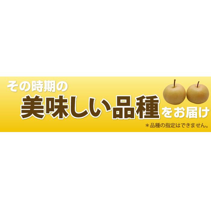 梨 訳あり 箱込約5kg【内容量4kg+不良果補償分500g】九州産 送料