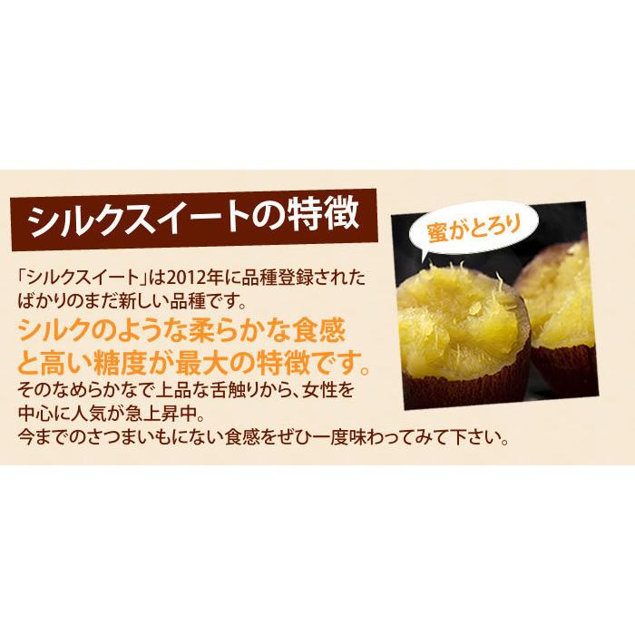 さつまいも 訳あり 10kg 箱込 シルクスイート 内容量9kg 補償分 さつまいも 訳あり 10kg 箱込 シルクスイート 内容量9kg 補償分