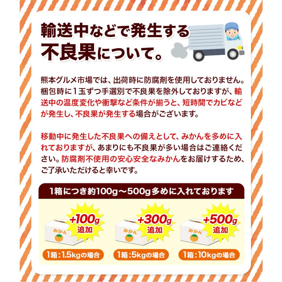 みかん 送料無料 10kg 訳あり 内容量9kg 補償分500g  規格外 サイズ不選別 熊本県産  極早生 は緑色傾向 ミカン 蜜柑 ご自宅用 ポイント消化｜kumamoto-gurume｜09