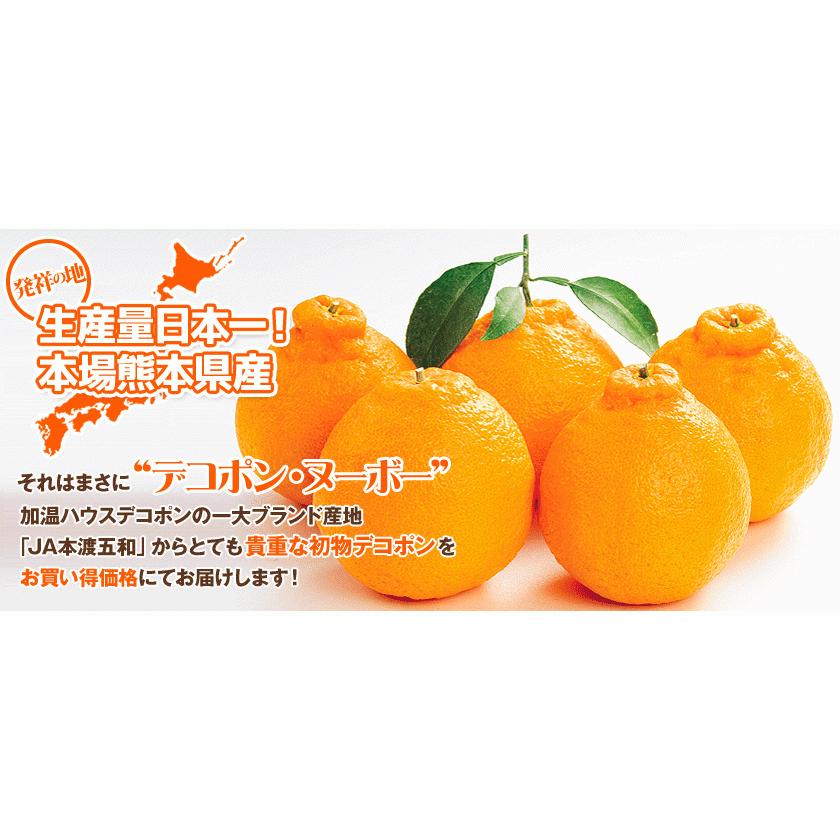 熊本県産 デコポン 優品 約1.8kg前後〜約2kg前後 送料無料 個別 熊本県産 デコポン 優品 約1.8kg前後〜約2kg前後 送料無料 個別