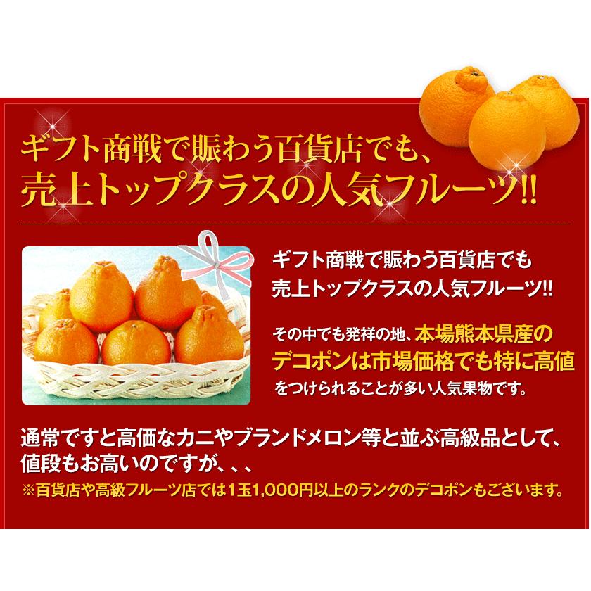 熊本県産 デコポン 優品 約1.8kg前後〜約2kg前後 送料無料 個別 熊本県産 デコポン 優品 約1.8kg前後〜約2kg前後 送料無料 個別