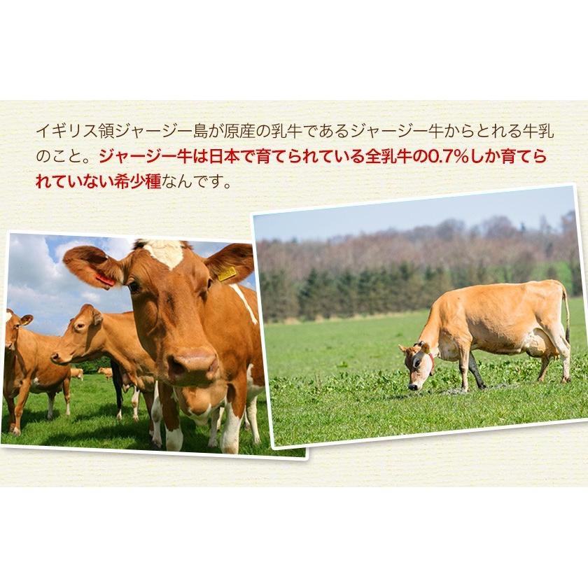 賞味期限2022年11月28日 阿蘇ジャージー チーズケーキ ケーキ 取り寄せ スイーツ 送料無料 3-7営業以内発送予定(土日祝除く) :asojcake-2:くまもと風土 ヤフー店 - 通販 - Yahoo!ショッピング 賞味期限2022年11月28日 阿蘇ジャージー チーズケーキ ケーキ 取り寄せ スイーツ 送料無料 3-7営業以内発送予定(土日祝除く) :asojcake-2:くまもと風土 ヤフー店 - 通販 - Yahoo!ショッピング