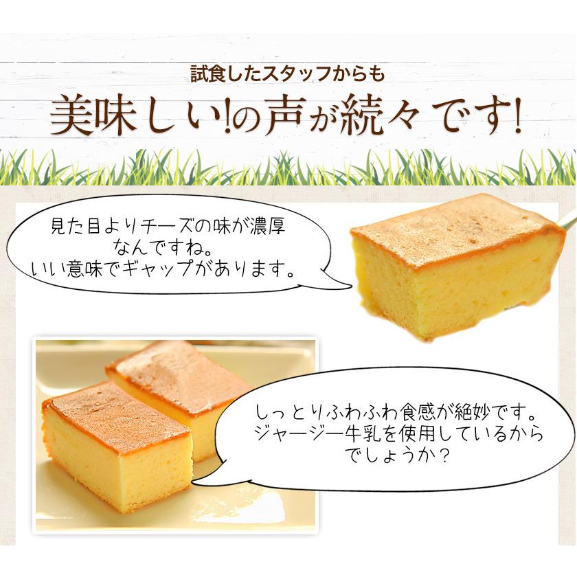 阿蘇ジャージー チーズケーキ ケーキ 取り寄せ スイーツ 送料無料  3-7営業日以内に出荷予定(土日祝除く)｜kumamotofood｜07