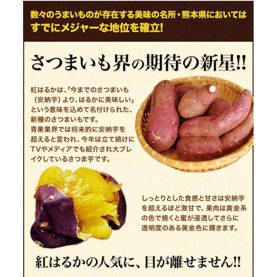 さつまいも 紅はるか 訳あり べにはるか 1kg 送料無料 芋 熊本県産