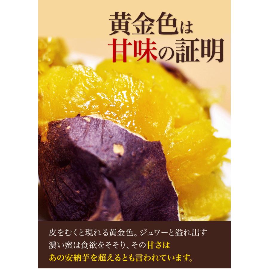 さつまいも 紅はるか 訳あり べにはるか 1kg 送料無料 芋 熊本県産 スイーツ お取り寄せ 《3-7営業日以内に発送予定(土日祝除く)》 :beharuka-1kg-04:くまもと風土