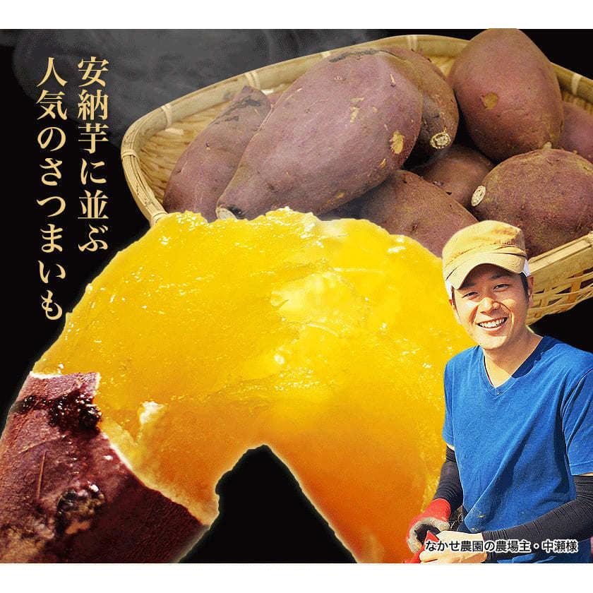 さつまいも 紅はるか 蔵出し ベニーモ 5kg 送料無料 中瀬農園 芋 旬 お取り寄せ グルメ 1-5営業日以内に出荷予定(土日祝日除く)｜kumamotofood｜03