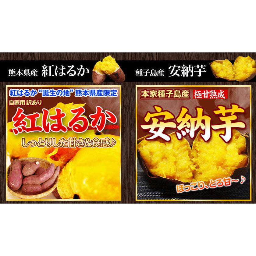 さつまいも 紅はるか 蔵出し ベニーモ 5kg 送料無料 中瀬農園 芋 旬 お取り寄せ グルメ 1-5営業日以内に出荷予定(土日祝日除く)｜kumamotofood｜09