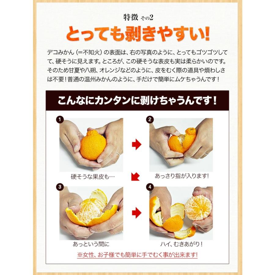 ご注文殺到中 訳あり デコみかん デコポン と同品種 送料無料 家庭用